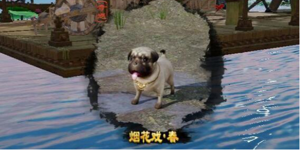 探索RO2官网：打造游戏爱好者的一站式平台
