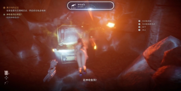 地下拳击场：非法格斗背后的危险世界